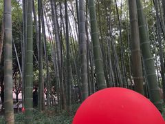 -绳金塔