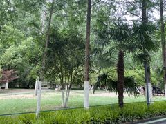 -合肥滨湖国家森林公园