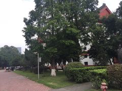 -四川大学(望江校区)