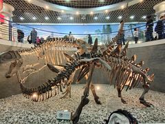 -国家自然博物馆