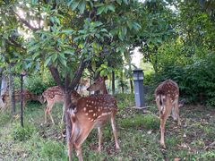-观唐（国际）度假村温泉