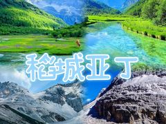 -成都大熊猫繁育研究基地