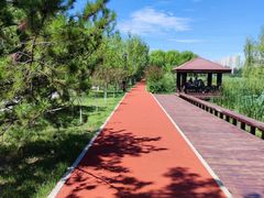 -永定河休闲森林公园