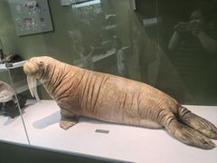 -国家自然博物馆