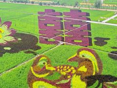 -稻梦空间冰雪小镇