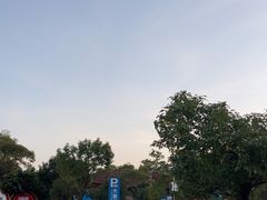 -广东惠东海龟国家级自然保护区