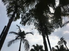 -重庆海昌加勒比海水世界