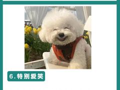 -成都市妇女儿童中心医院(中心院区)