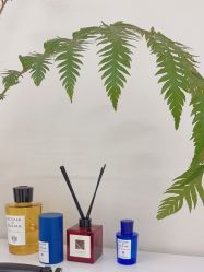 -WENDY·温迪皮肤管理