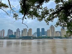 -江心屿景区