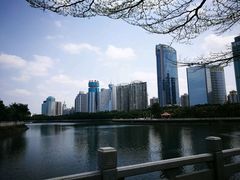 -万绿园