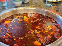 -金鼎雪山牦牛杂火锅(理县总店)