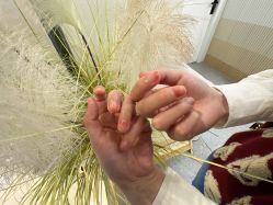 -MONICABOX美甲美睫