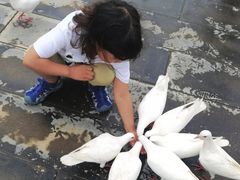 -天津妈祖文化园