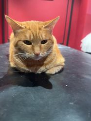 -海王刺青·纹身·穿孔饰品·TATTOO