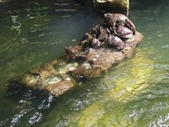 -普陀山风景名胜区-法雨禅寺