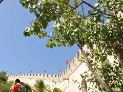 -辛玛王国游乐园