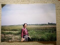 -古陶文明博物馆