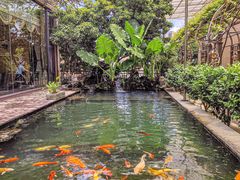 -新世纪大酒楼·30年南海菜
