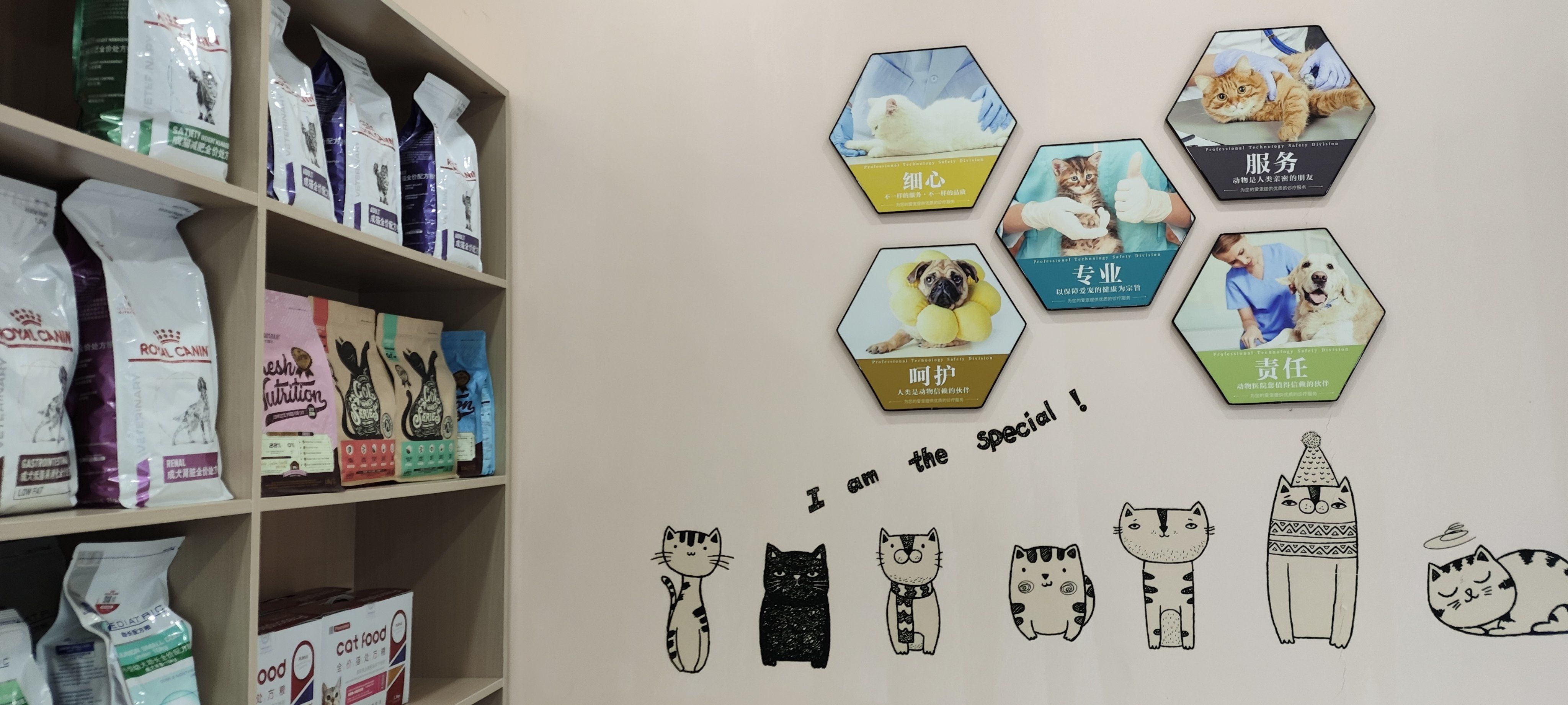 一家不错的宠物医院