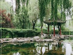 -百脉泉景区