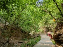 -北京上方山国家森林公园
