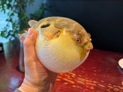 -永安鱼庄·镇江菜(东吴路店)