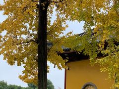 -上海青龙寺