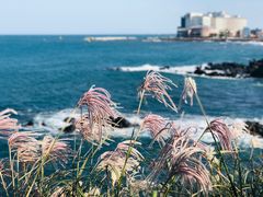 -龙头岩(Dragon Head Rock)