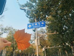 -三里屯东五街银杏大道