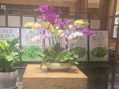 -黔蘑菇四季餐厅(观山湖店)