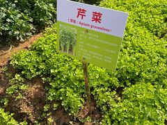 -天河儿童公园