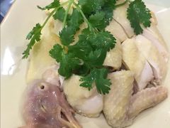 白切鸡-华信美食