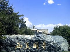 -张掖大佛寺景区