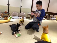 -逗柴咖啡屋·狗咖猫咖宠物桌游