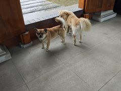 -法华学问寺-停车场