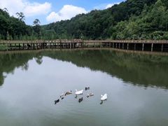 -神光山国家森林公园