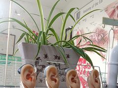 -自然之声助听器·呼吸机(公园路店)