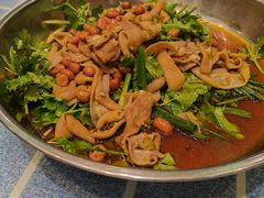 -石岐乳鸽村(南海第三分店)