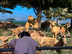 -国家自然博物馆