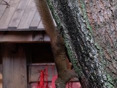 -福建省非物质文化遗产博览苑
