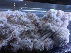 -湖南省地质博物馆