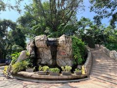 -九龙公园
