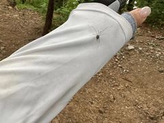 -鹫峰国家森林公园