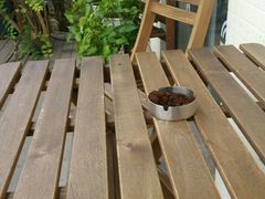 -Cafe Villa