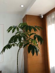 -HEYAN荷妍专业脱毛连锁机构