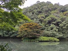 -拾溪餐厅·包厢(杭州千禧度假酒店)