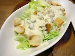 -百好乐宠物友好餐厅(朝外大街店)