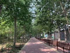 -杨柳青庄园