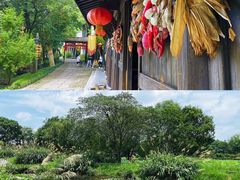 -西溪国家湿地公园